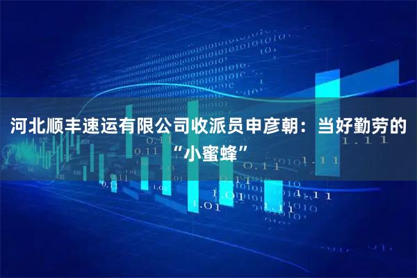 河北顺丰速运有限公司收派员申彦朝：当好勤劳的“小蜜蜂”